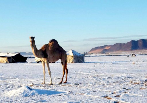 محافظتان سعوديتان تسجلان درجات حرارة تحت الصفر وترقب لأجواء ماطرة