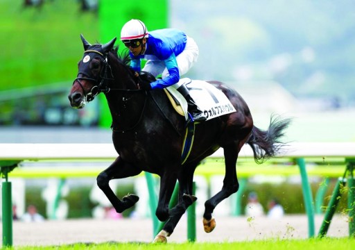 خيول جودلفين تحقق انتصارات متميزة في المضامير اليابانية