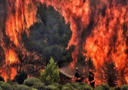 قتيل في حرائق غابات لا تزال خارجة عن السيطرة جنوبي فرنسا