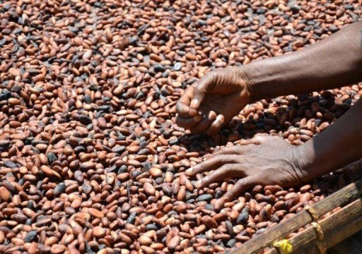 الإمارات توقع اتفاقاً لبناء مصنع لإنتاج الكاكاو في ساحل العاج