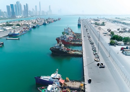 "موانئ أبوظبي" تعلن استحواذها على 10 سفن بقيمة 200 مليون دولار
