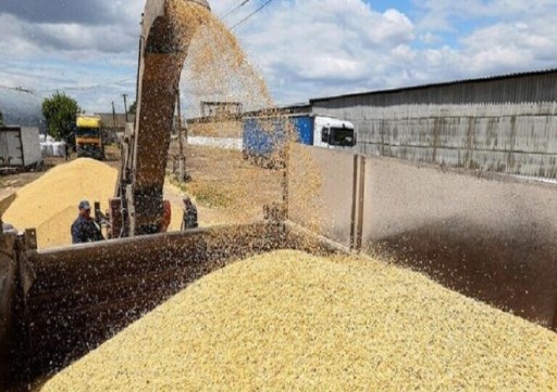 مجلس دولي يؤكد صعوبة نقل أوكرانيا لخمسة ملايين طن من الحبوب خلال شهر