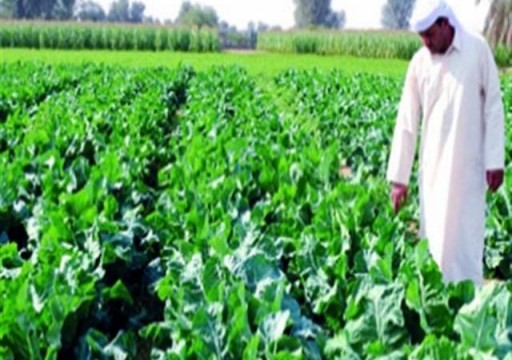 قد تكون مهددا جديدا للصحة.. أبوظبي تخفف إجراءات السلامة على استيراد المحاصيل المصرية