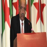 الجزائر تطالب بإصلاح الجامعة العربية وتعزيز استقلالها