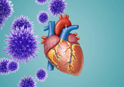 دراسة: فيروس كورونا يصيب خلايا القلب ويتكاثر فيها