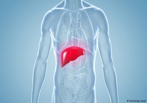 التهاب الكبد.. الأسباب والأعراض والعلاج