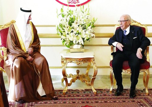 الإمارات: قمة تونس محطة مهمة لتعميق التعاون العربي