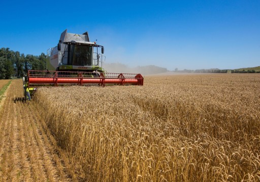 بمنع تصدير القمح الأوكراني.. اتهام أوروبي لروسيا بتعريض العالم لخطر المجاعة