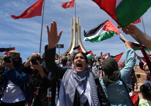 تضامن عربي ودولي مع فلسطين واحتفاء بانتصار المقاومة وفشل العدوان