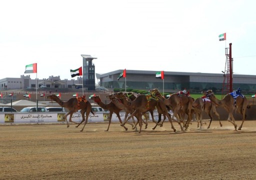 منافسات جائزة زايد الكبرى لسباقات الهجن 2024 تنطلق الإثنين المقبل