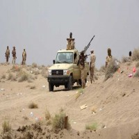 الجيش اليمني يسيطر ناريا على الخط الرابط بين محافظتي تعز والحديدة