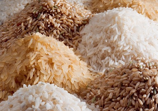 أسعار الأرز ترتفع لأعلى مستوى منذ 12 عاماً