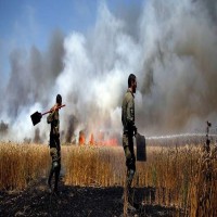 الطائرات الورقية الفلسطينية تحرق 17 موقعا إسرائيليا
