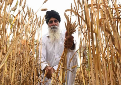 الهند تستثني الإمارات من حظر صادراتها من القمح