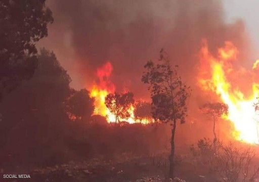 أربعة قتلى وتضرر عدد من المنازل جراء حرائق الغابات في الجزائر