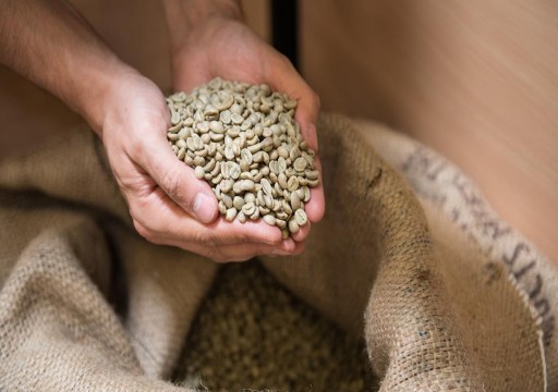 خبيرة تغذية: القهوة الخضراء سلاح فعال لإنقاص الوزن
