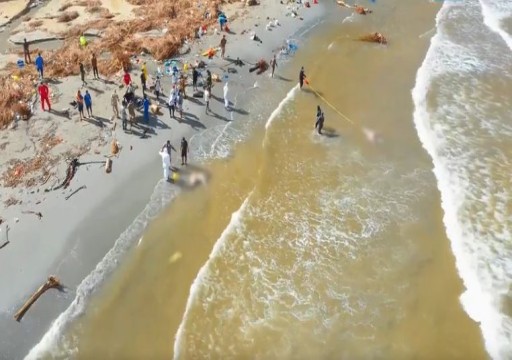 فرق الإنقاذ تعثر على مئات الجثث على شاطئ "درنة" الليبية