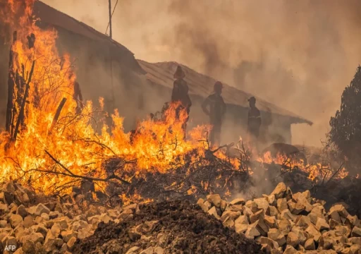 المغرب.. أجهزة الإطفاء تقترب من احتواء حرائق الغابات