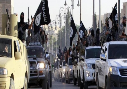 العراق: نشاط "داعش" يتزايد شمالي البلاد