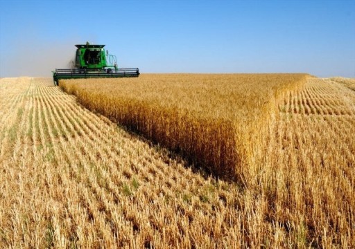 الحرب الروسية تُفقد أوكرانيا ثلث إنتاجها من القمح