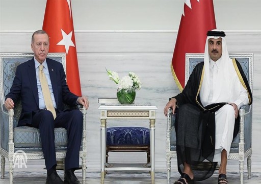 أمير قطر وأردوغان يبحثان آخر التطورات في غزة