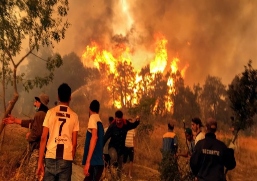 ارتفاع وفيات حرائق الغابات شمالي الجزائر إلى 38 شخصا