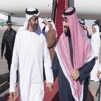محلل أمريكي يزعم أن محمد بن زايد حوَّل السعودية إلى “كلب بولدوغ” لمهاجمة قطر
