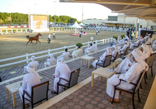 مزاد الشارقة للخيول العربية يحقق مليونا و489 ألف درهم