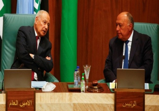 وزير خارجية مصر: عودة دمشق للجامعة العربية لا تؤهل لتطبيع كامل