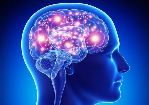 دراسة: الإنسان يولد بجزء في المخ مُعد مسبقا لرؤية الكلمات والحروف
