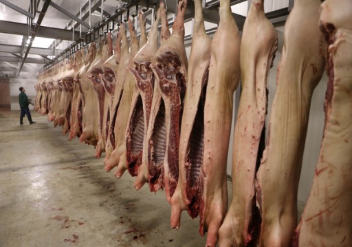تقرير: الإمارات أكبر مستورد للحوم الخنزير من أوكرانيا خلال النصف من 2020
