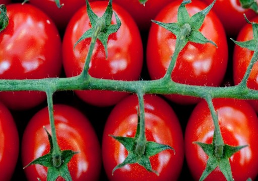 دراسة جديدة: الطماطم تعزز جودة الحيوانات المنوية‬