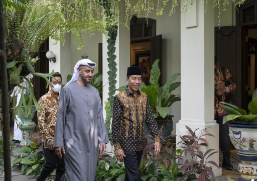 رئيس الدولة والرئيس الإندونيسي يبحثان تعزيز علاقات البلدين
