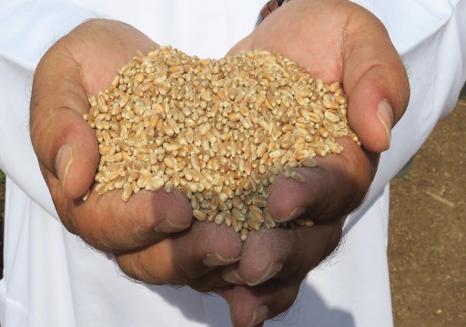 ثاني الزيودي: احتياطيات الإمارات من الأرز والقمح والسكر تكفي لستة أشهر قادمة