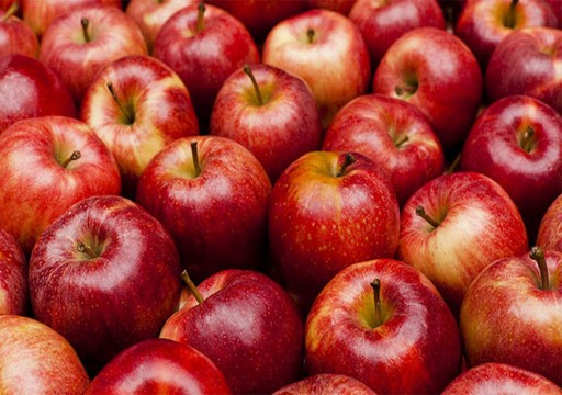 هل سيختفي التفاح الأحمر قريبا من الأسواق بسبب التغير المناخي؟