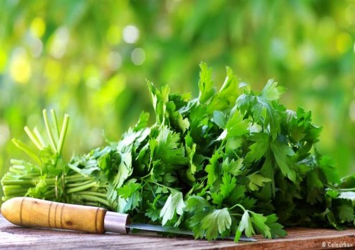 خمسة أعشاب للتخلص من أعراض نقص المغنيسيوم في الجسم