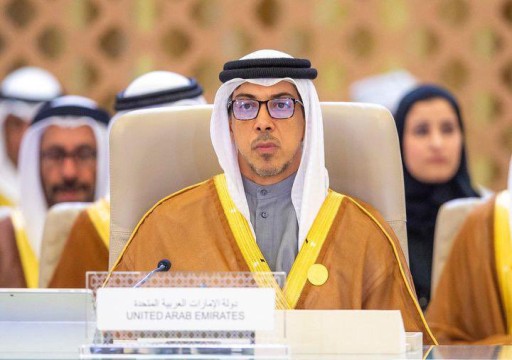 منصور بن زايد: الإمارات تدعم كافة الجهود لتعزيز التوافق والاستقرار بالمنطقة