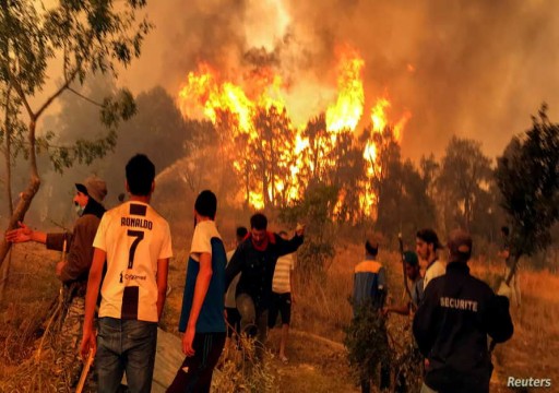 الجزائر تعلن إخماد كل الحرائق في ولاية "تيزي وزو"