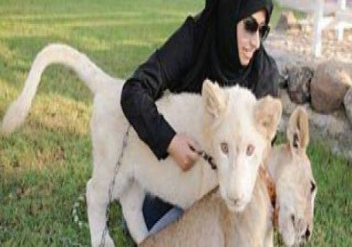 دبي تعلن تشكيل فريق لمكافحة الحد من ظاهرة تربية الحيوانات الخطرة