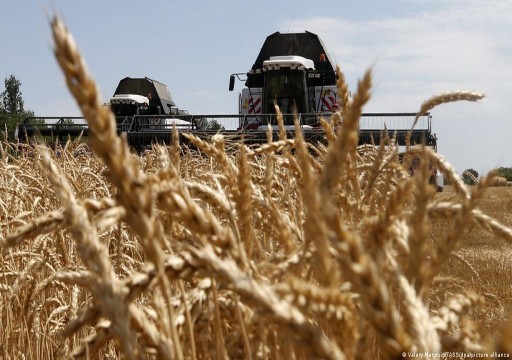 أوكرانيا تحذر: الحرب الروسية تضع الأمن الغذائي العالمي على المحك