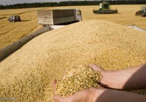الأمم المتحدة: سنكثف تصدير الحبوب الأوكرانية قبل الشتاء