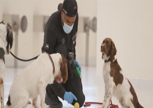 وزارة الداخلية تعلن استخدام الكلاب في الكشف عن مصابي كورونا