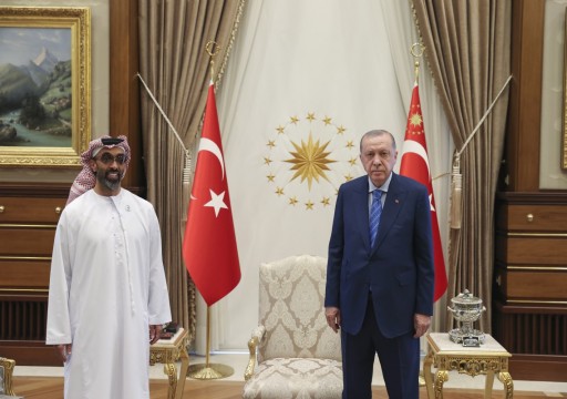 الرئيس التركي يستقبل طحنون بن زايد في أنقرة لبحث "الاستثمارات الإماراتية"