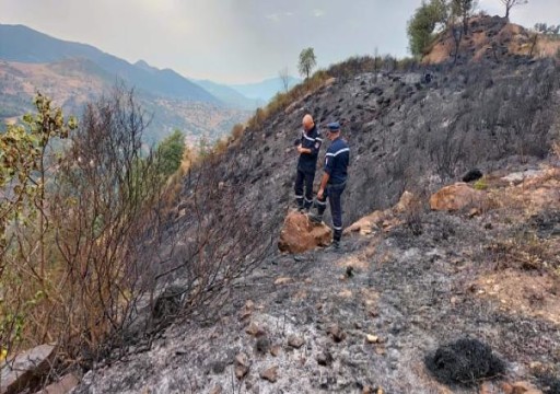 الجزائر تعلن توقيف شخصين للاشتباه بهما في إضرام حرائق الغابات