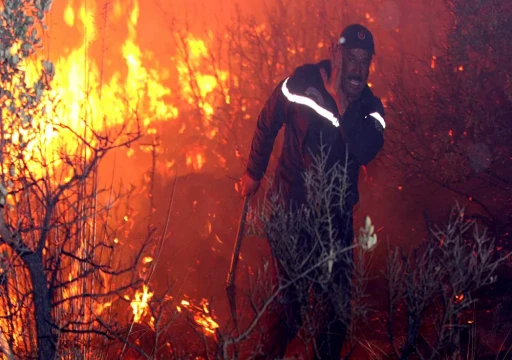 الجزائر.. ارتفاع عدد ضحايا حرائق الغابات إلى 65 بينهم 28 عسكريا