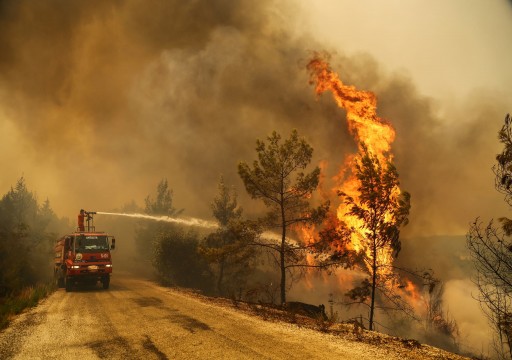 تركيا تحقق في مؤشرات على صلة الإرهاب بحرائق الغابات