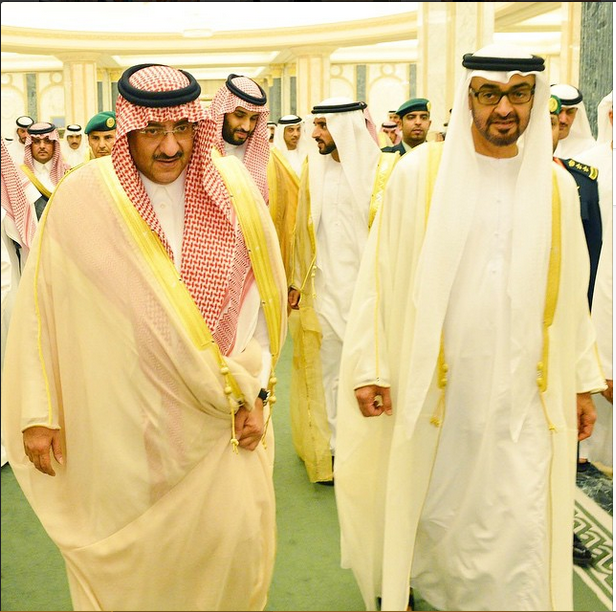 محمد بن زايد: الإمارات تقف إلى جانب السعودية لنصرة القضايا العربية