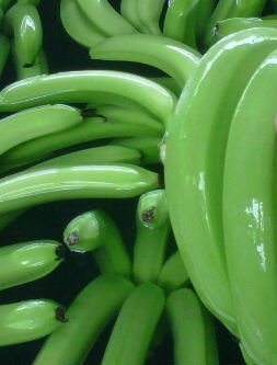تناول الموز الأخضر ينقص من وزن الجسم 