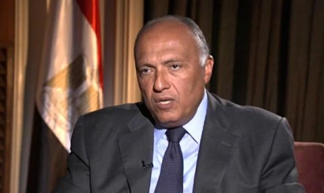 الخارجية المصرية تجري مشاورات للرد على بيان "مجلس التعاون"