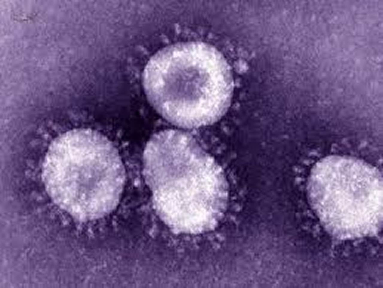  وفاة سبع حالات جديدة بفيروس كورونا في السعودية